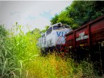 VLI 8683
